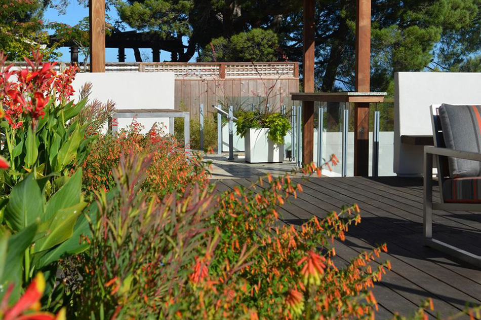 Bay Area Gardens